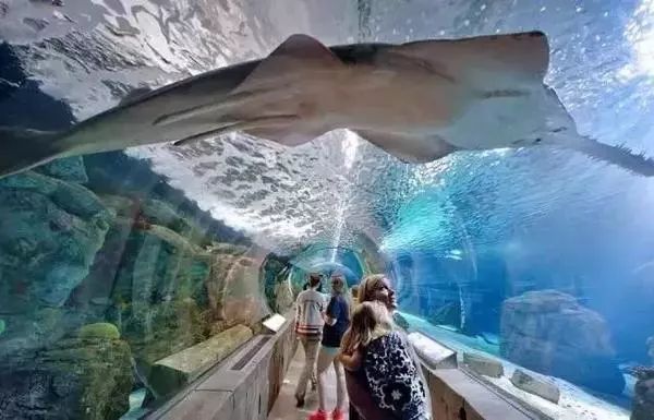 深圳居民消费水平数据_深圳家庭购物日常消费表_深圳消费水平怎么样