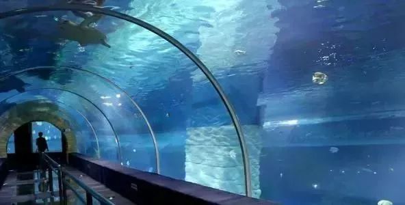 深圳家庭购物日常消费表_深圳居民消费水平数据_深圳消费水平怎么样