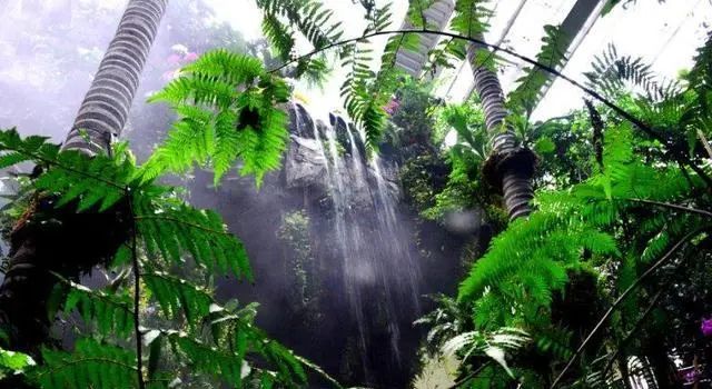 深圳居民消费水平数据_深圳消费水平怎么样_深圳家庭购物日常消费表