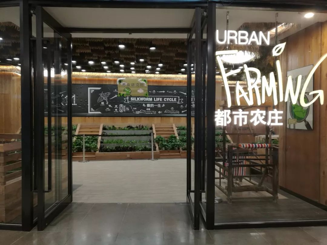 深圳居民消费水平数据_深圳消费水平怎么样_深圳家庭购物日常消费表