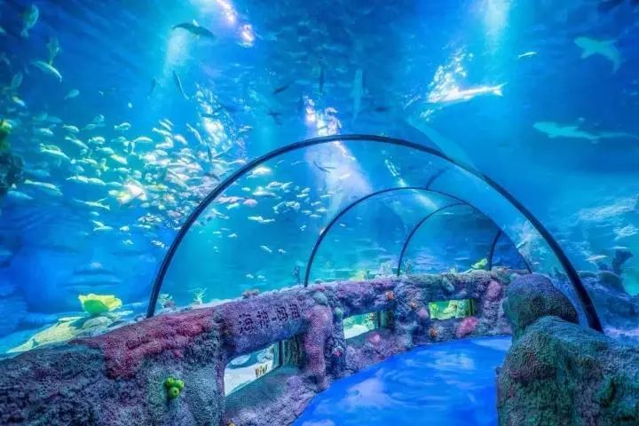 深圳消费水平怎么样_深圳居民消费水平数据_深圳家庭购物日常消费表