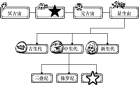 奇葩的生活方式_奇葩的生活常识_奇葩生活小妙招
