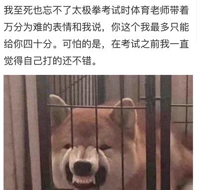 大学体育体操考试视频_体操大学生考试视频_大学体操考试内容
