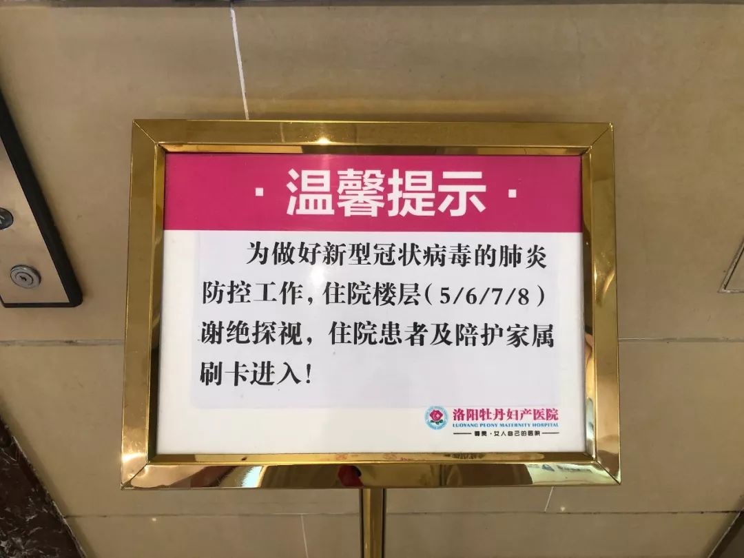 孕妇的营养餐_病人营养餐孕妇_营养孕妇餐大全及做法