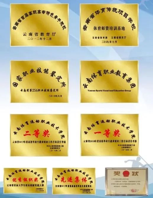 云南体育学院运动训练专业_云南体育运动学院百科_百科云南体育学院运动康复专业